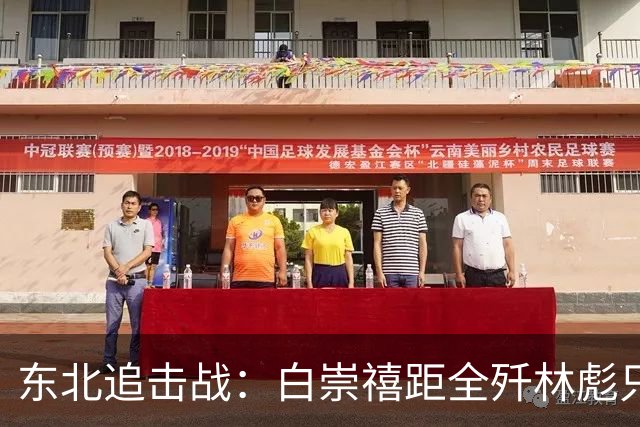 东北追击战：白崇禧距全歼林彪只差一道命令，历史差点被改写！