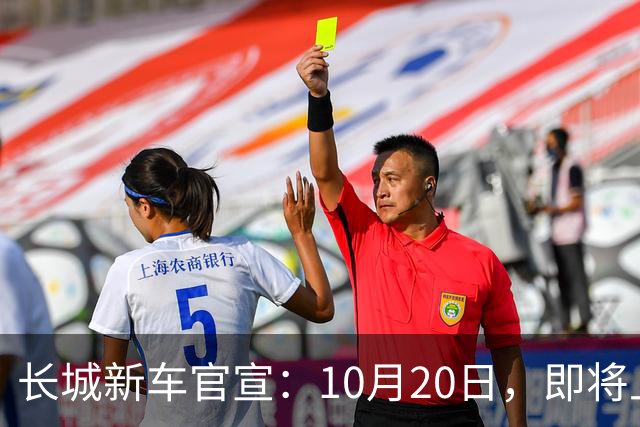长城新车官宣：10月20日，即将上市